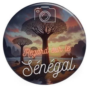 regard sur le sénégal